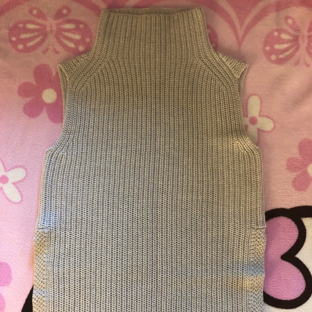 BNWOT Aritzia Wilfred Durandal sweater